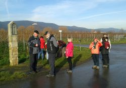 grossfischlingen_003