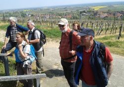 grossfischlingen_005