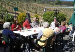 grossfischlingen_006