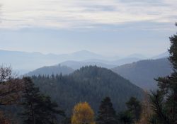 grossfischlingen_014