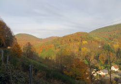 grossfischlingen_015