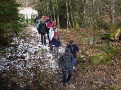 Abstieg_vom_Scherhol_nach_Wissembourg