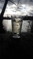 Riesling-Schorle_grüßt_die_Natur