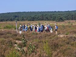 20240901_Mehlinger_Heide