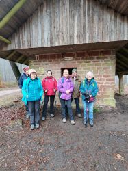 20250212_Auerochsentour