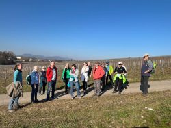 20250305_Aschermittwochwanderung_Göcklingen