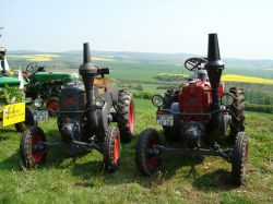 besuch-vom-bulldog-club-münchweiler_3