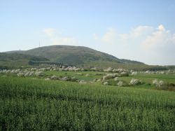blick-von-der-hütte_donnersberg_1