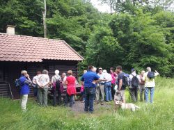 rast-an-der-spendelhütte