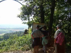 wanderung-am-donnersberg