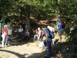 wanderung-am-donnersberg_2
