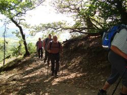 wanderung-am-donnersberg_4