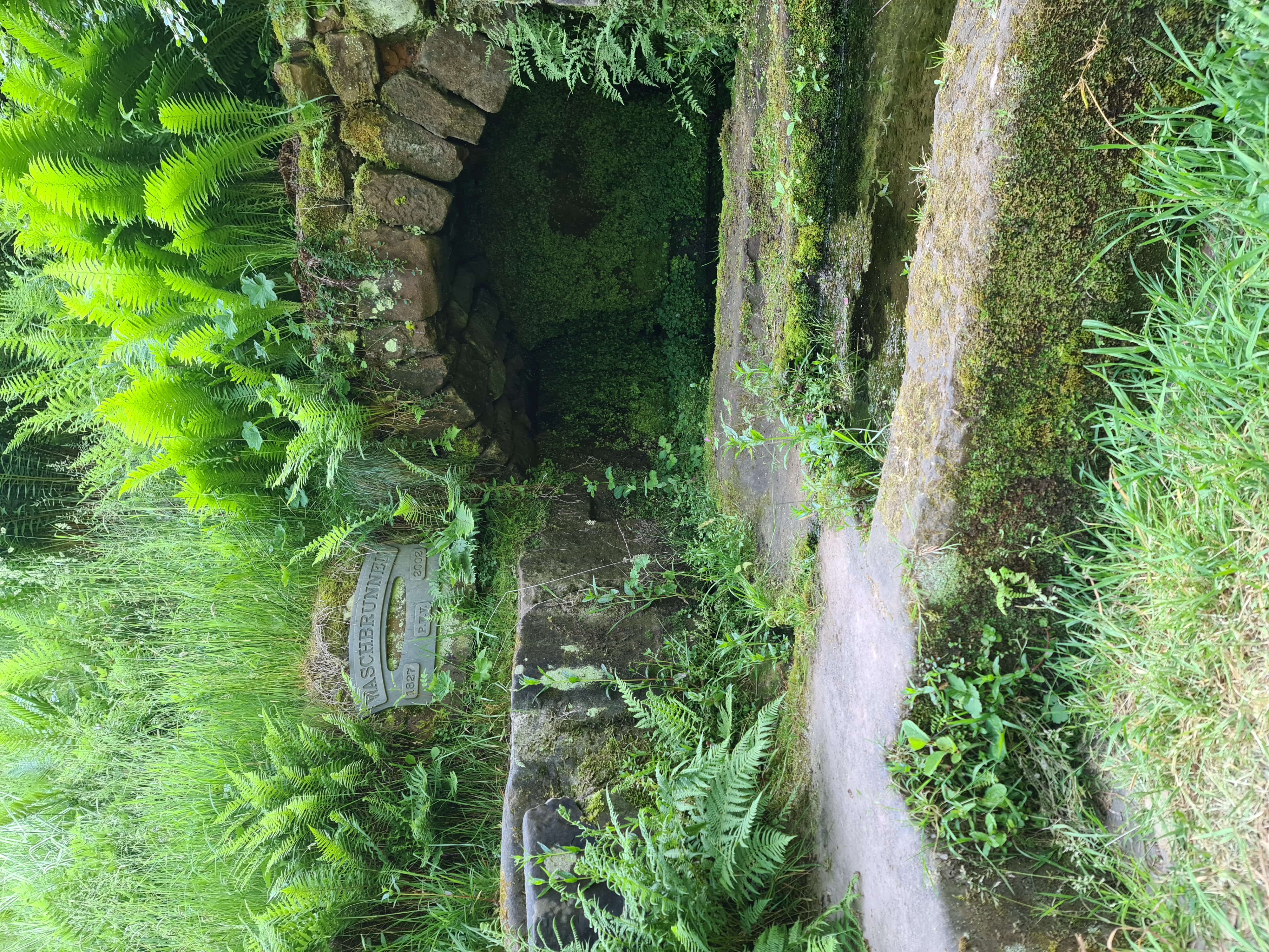 20230604 103616 Kopiert