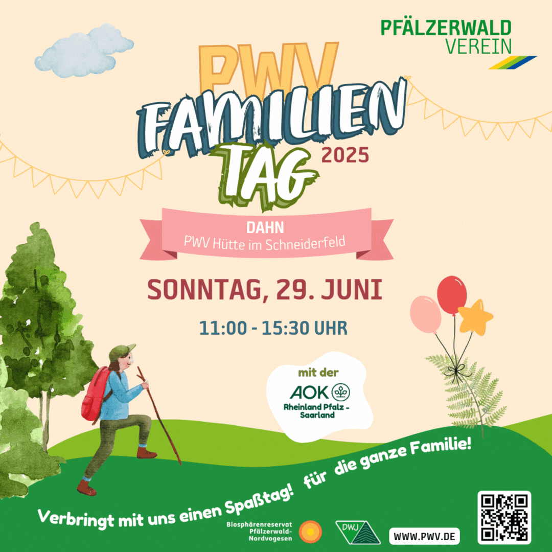 2025 06 29 PWV Familientag Insta