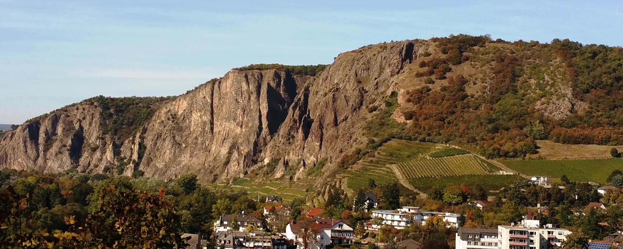 badkreuznach head kontakt