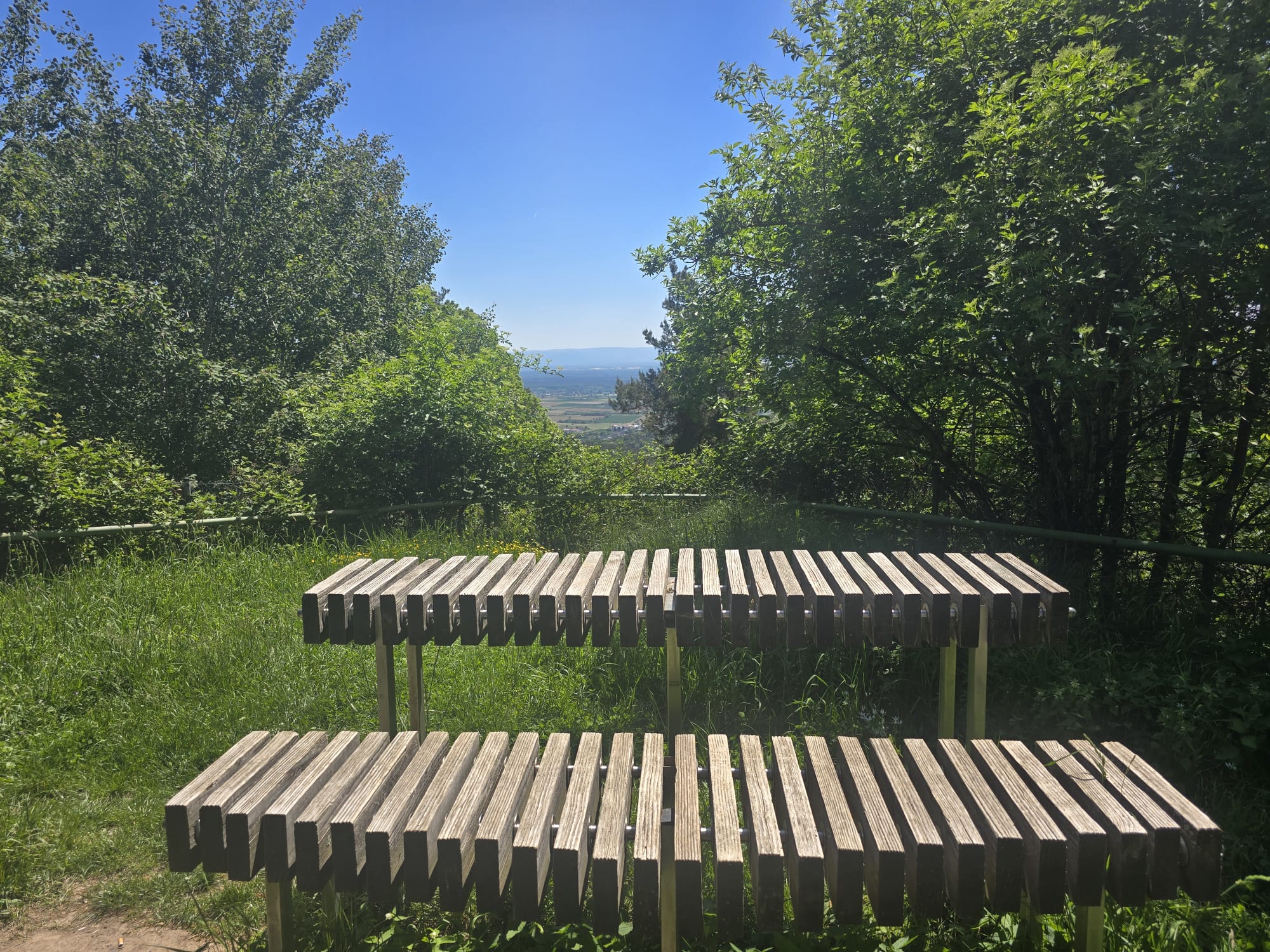 fischlingen head bildergalerie