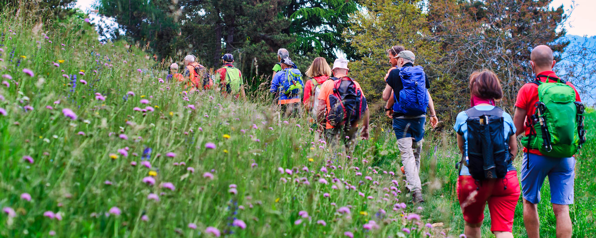 speyer head aktuelles