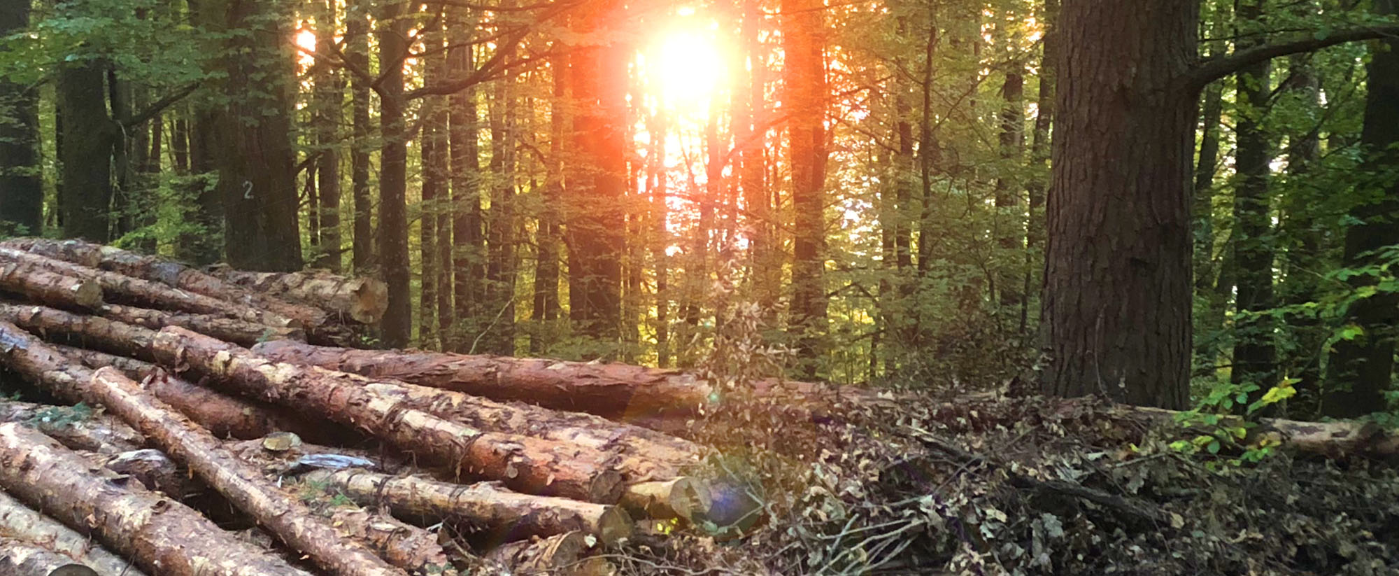 iggelbach header sonstiges