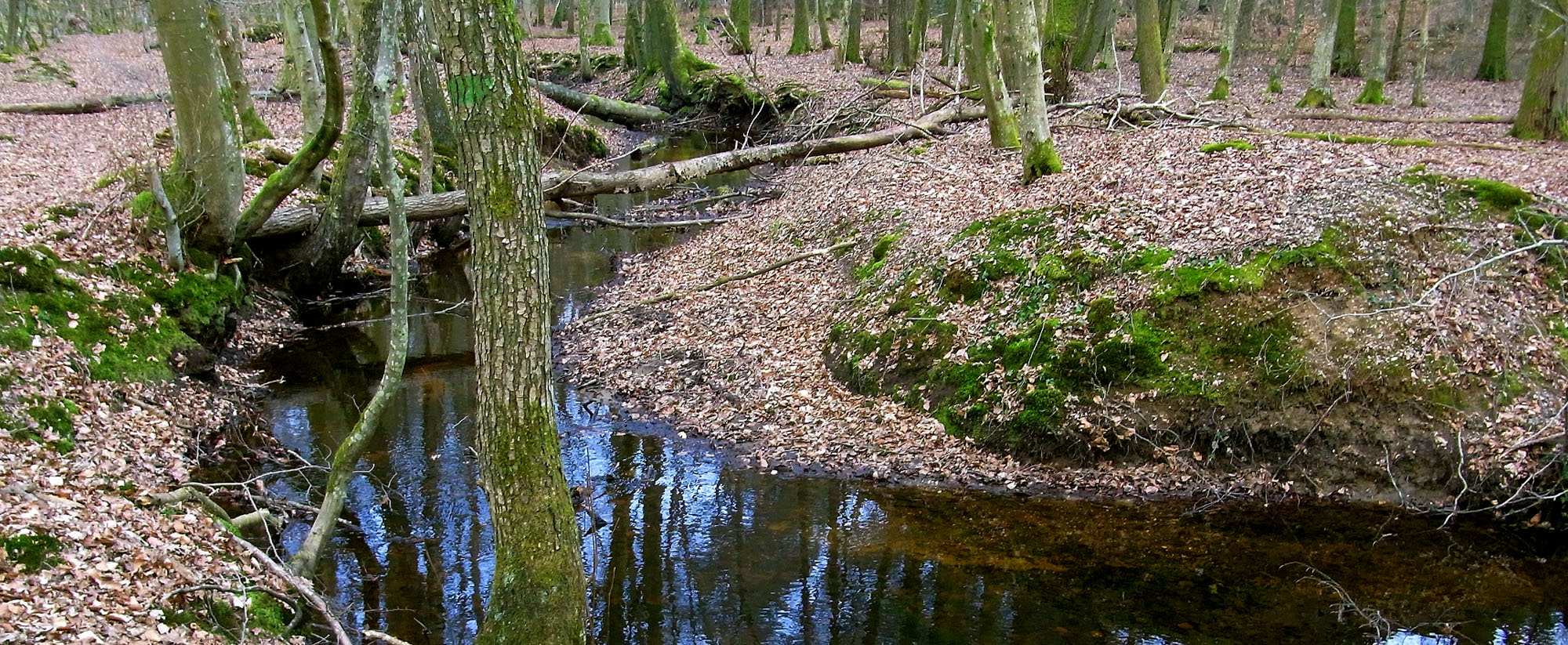 insheim header bienwald