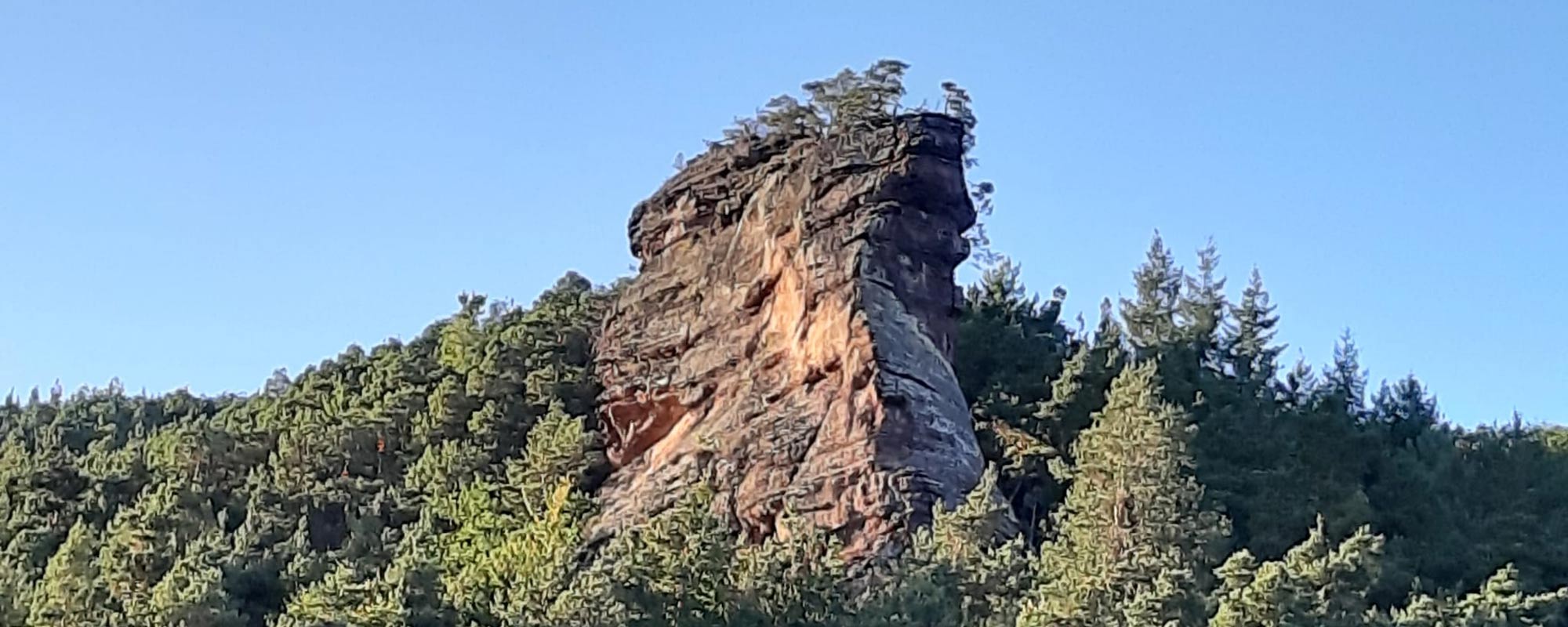 lug head aktu