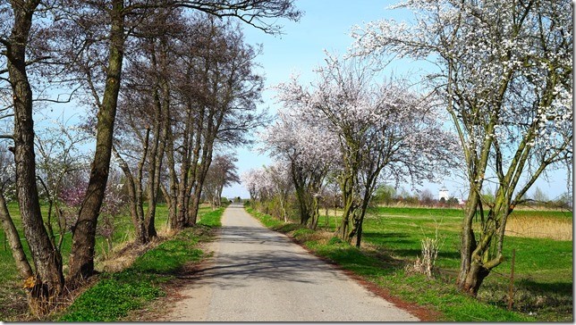 Wanderung Deidesheim
