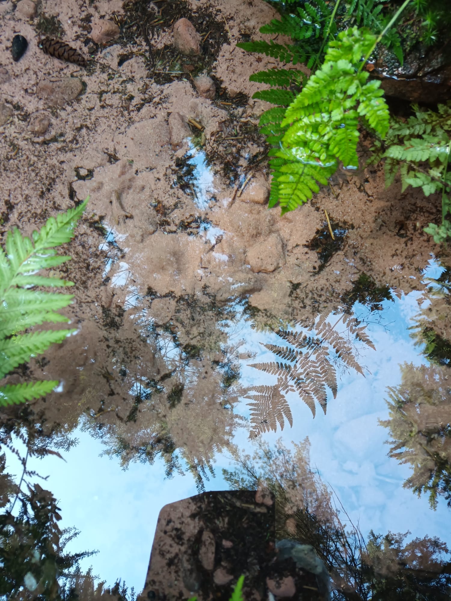 WhatsApp Image 2023 08 18 at 225654