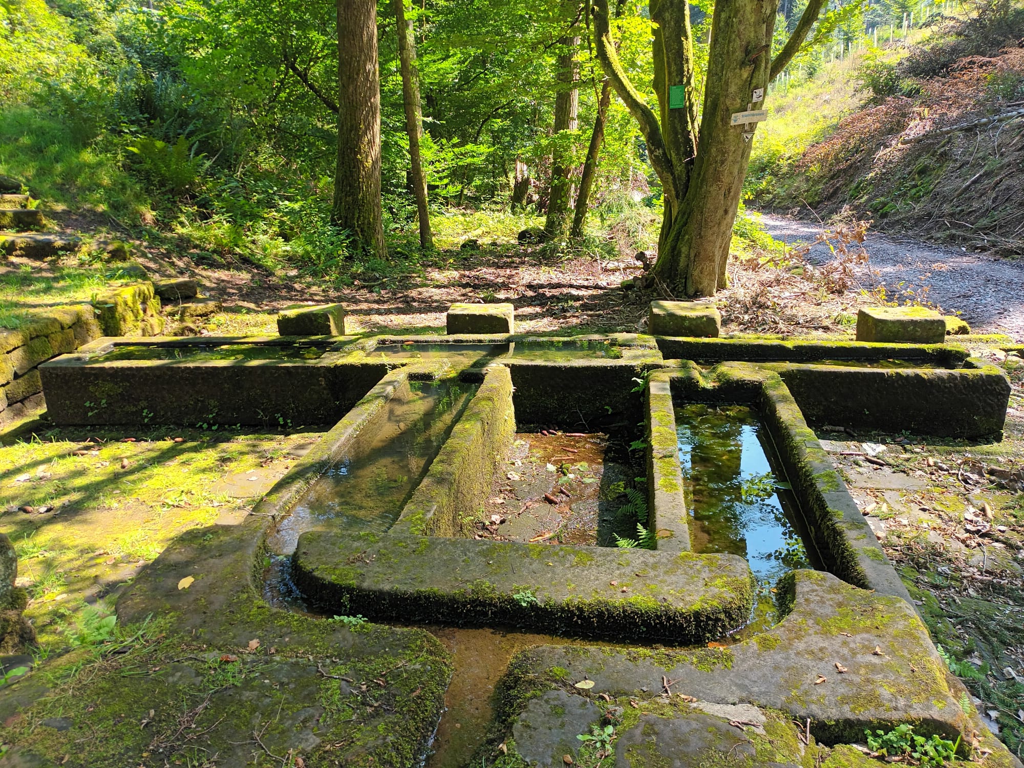 WhatsApp Image 2023 08 18 at 2256542