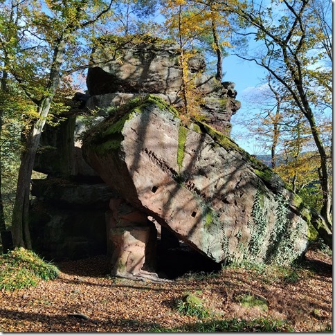 WhatsApp Image 2024 11 18 at 222812