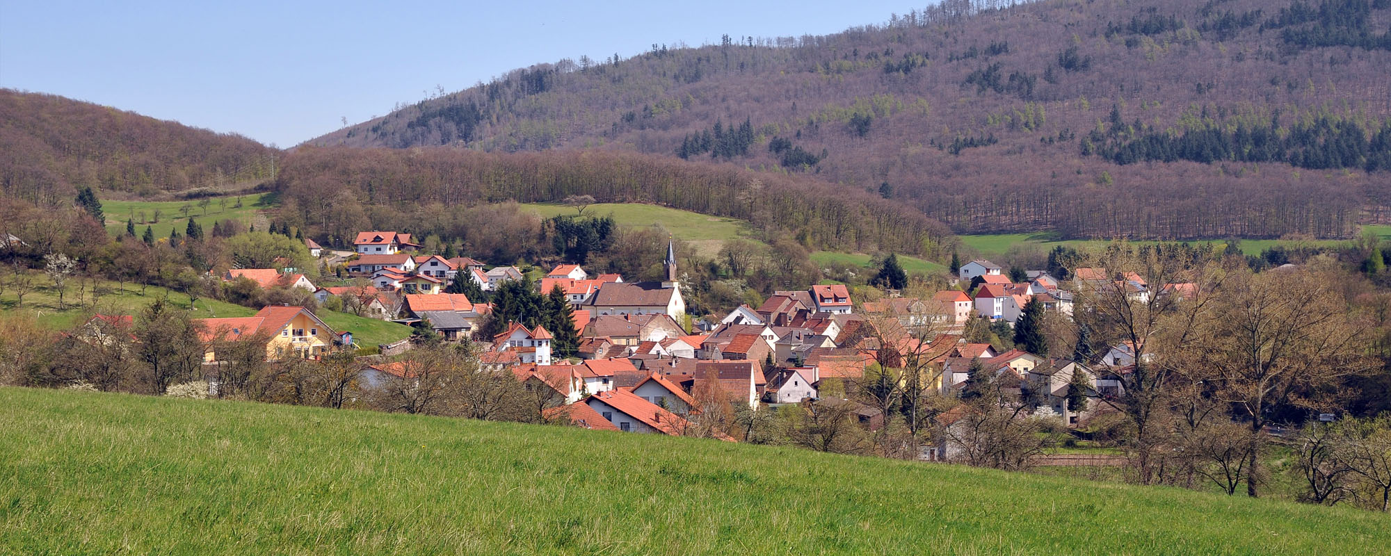 rockenhausen head wanderungen