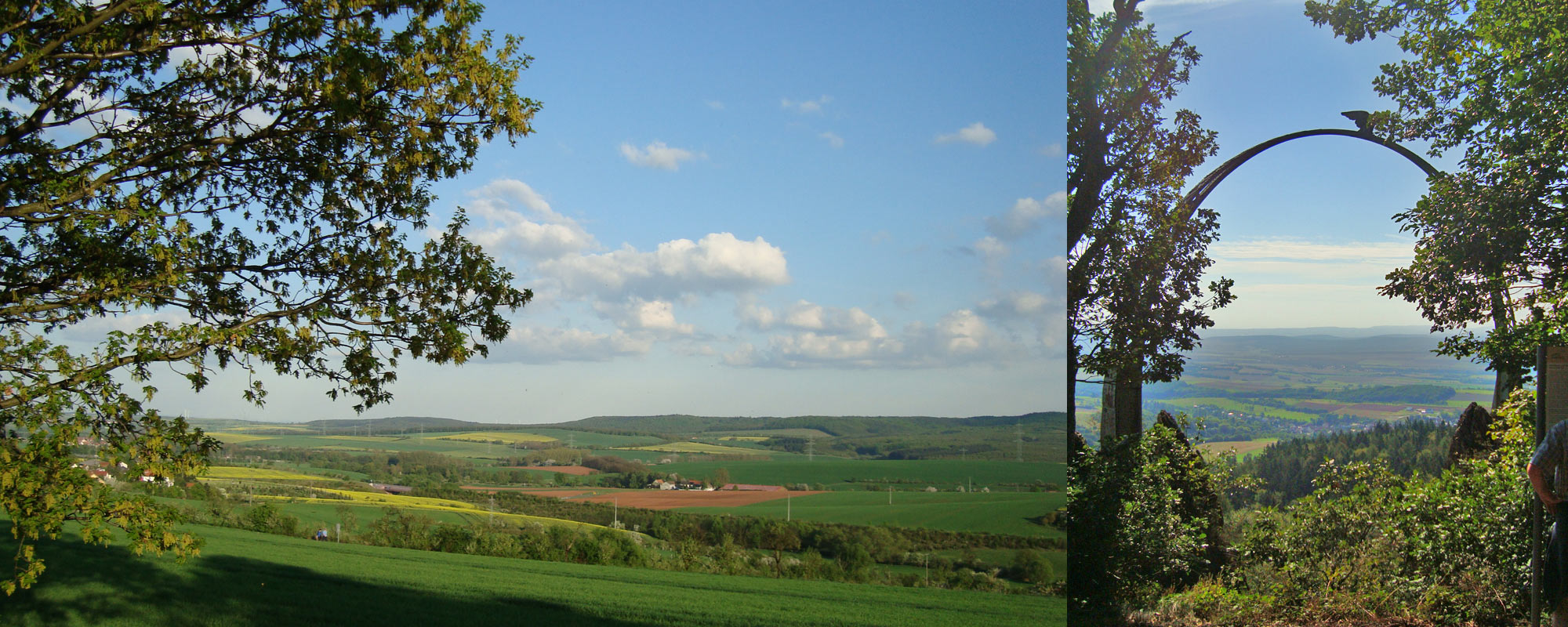 steinbach head kontakt