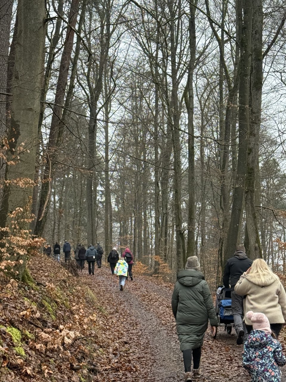 photo 2025 04 10 22 19 44