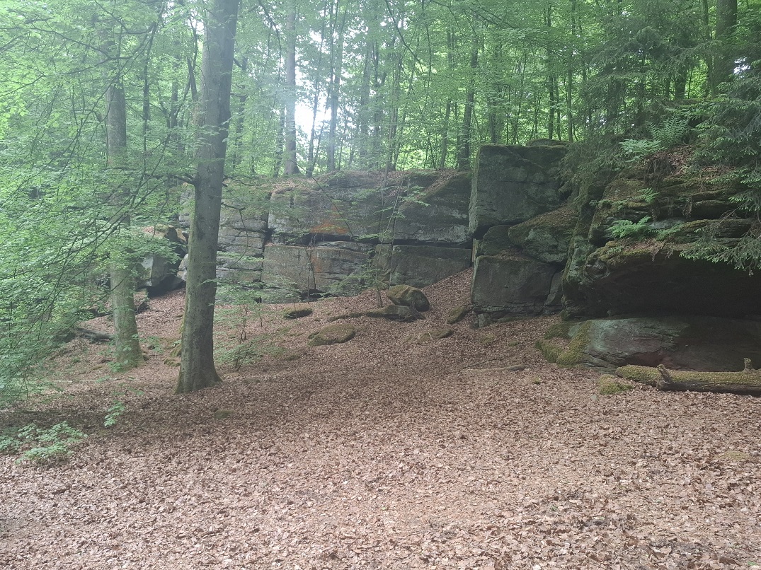 photo 2026 03 12 21 48 12