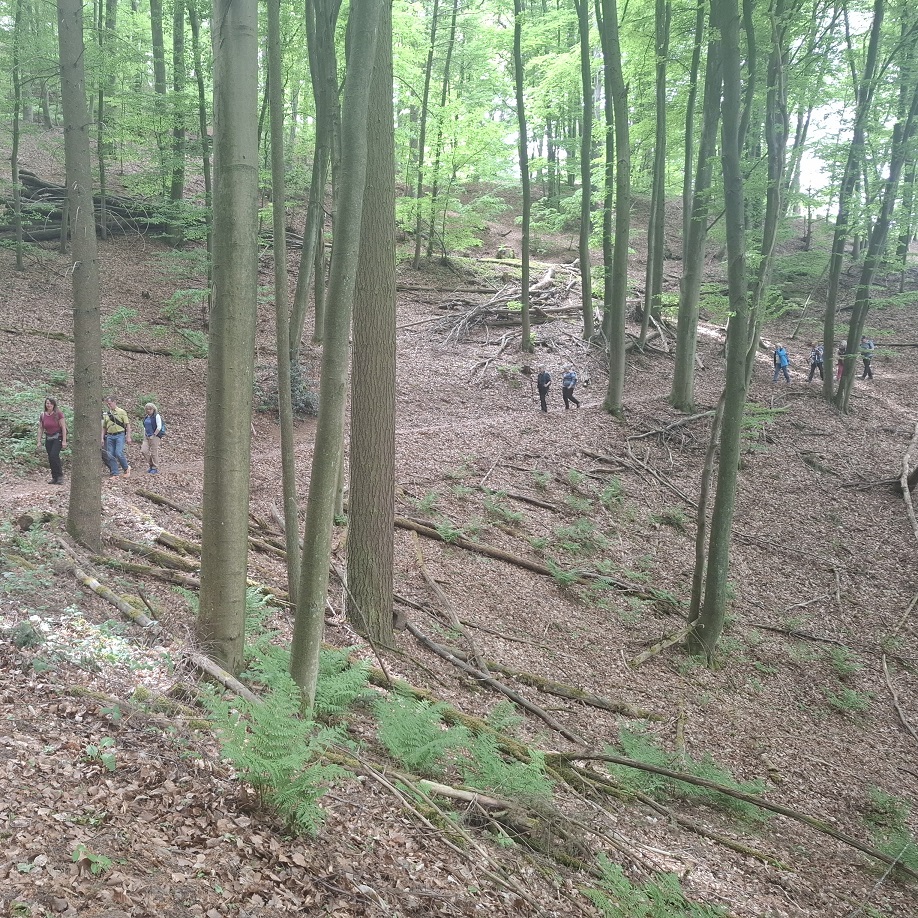 Siedlung