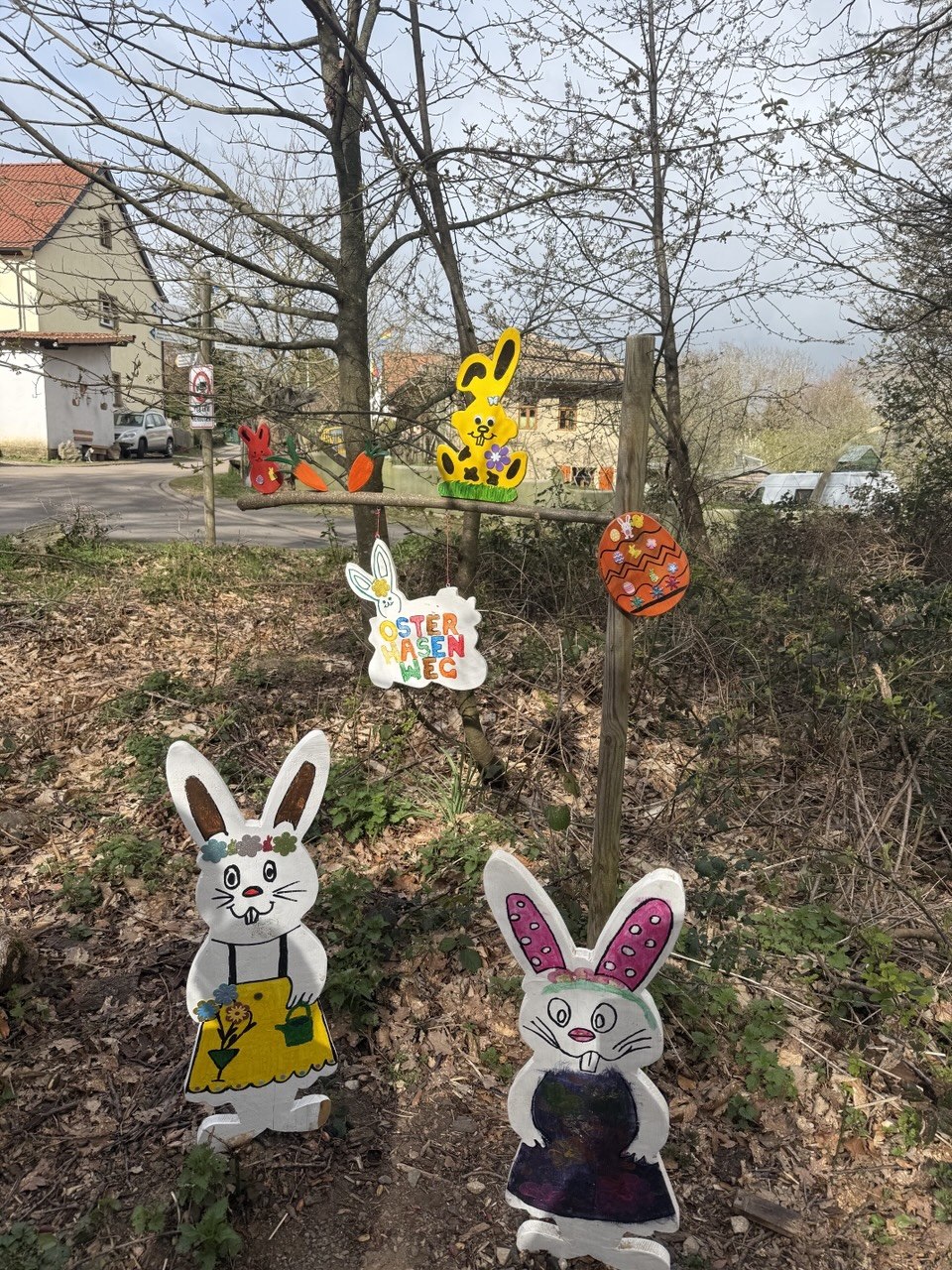 photo 2026 03 12 21 48 12
